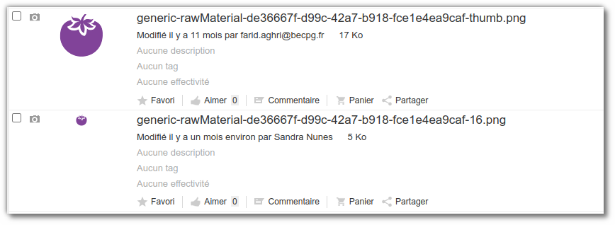 Personnalisation de l'icône