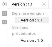 Visualisation des versions